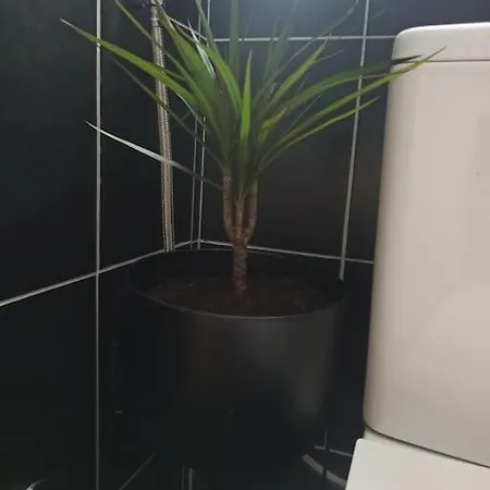 Pasithea Appartement Vólos